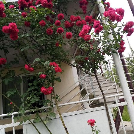 ホテル Mti House Kvesheti エクステリア 写真