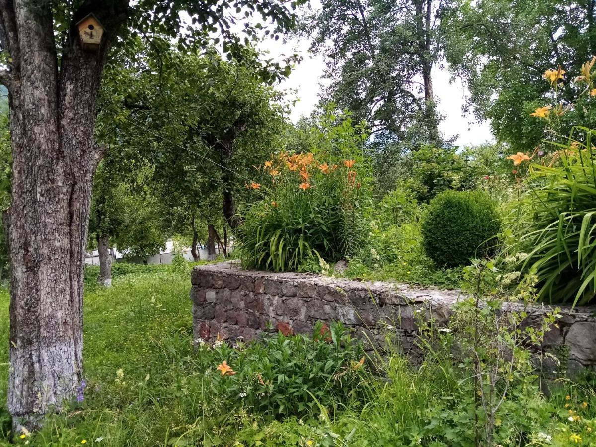 ホテル Mti House Kvesheti エクステリア 写真